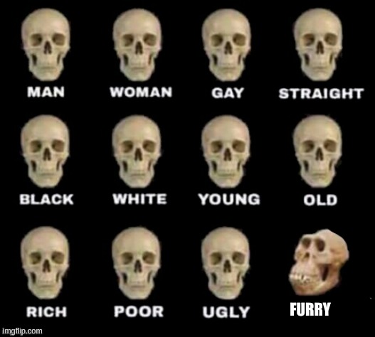 FURRY SKULL | FURRY | image tagged in idiot skull | made w/ Imgflip meme maker