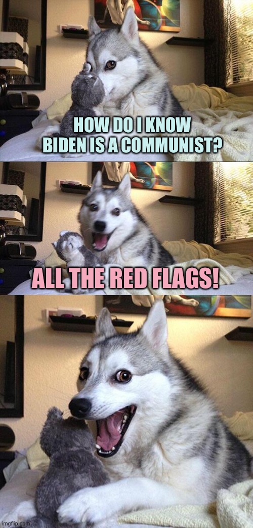 Bad Pun Dog | HOW DO I KNOW BIDEN IS A COMMUNIST? ALL THE RED FLAGS! | image tagged in memes,bad pun dog | made w/ Imgflip meme maker