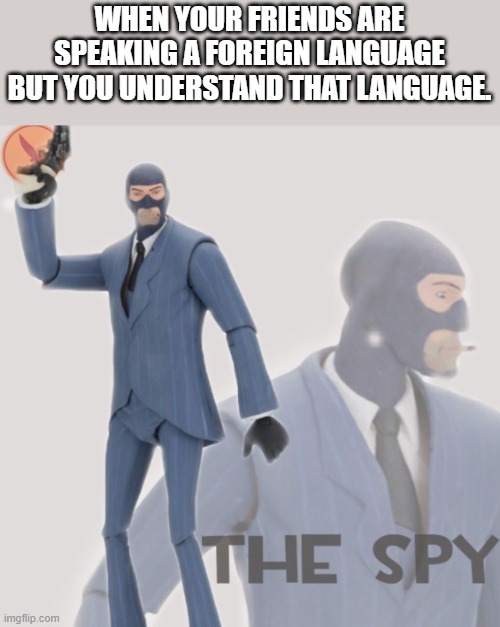 Meet The Spy | WHEN YOUR FRIENDS ARE SPEAKING A FOREIGN LANGUAGE BUT YOU UNDERSTAND THAT LANGUAGE. | image tagged in meet the spy | made w/ Imgflip meme maker