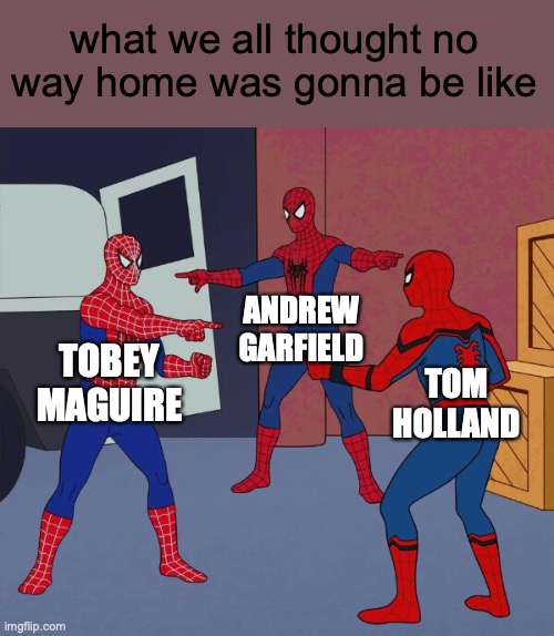 [insert clever title here] | what we all thought no way home was gonna be like; ANDREW GARFIELD; TOBEY MAGUIRE; TOM HOLLAND | image tagged in spider man triple | made w/ Imgflip meme maker