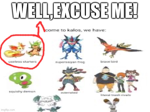 I better not see any more shit from people about fennekin | WELL,EXCUSE ME! | image tagged in pokemon,bullshit | made w/ Imgflip meme maker