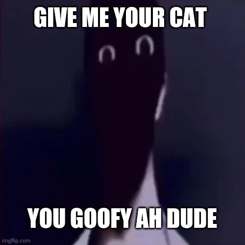 N mandela catalogue | GIVE ME YOUR CAT YOU GOOFY AH DUDE | image tagged in n mandela catalogue | made w/ Imgflip meme maker