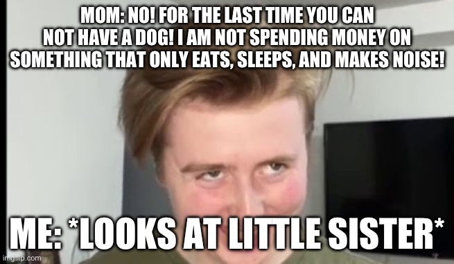 Bye | MOM: NO! FOR THE LAST TIME YOU CAN NOT HAVE A DOG! I AM NOT SPENDING MONEY ON SOMETHING THAT ONLY EATS, SLEEPS, AND MAKES NOISE! ME: *LOOKS AT LITTLE SISTER* | image tagged in the face | made w/ Imgflip meme maker