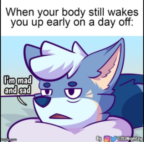 can relate xD (meme and art by nightzy) | image tagged in furry,the furry fandom,furry memes,lol so funny,memes | made w/ Imgflip meme maker