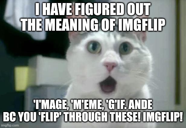 OMG Cat | I HAVE FIGURED OUT THE MEANING OF IMGFLIP; 'I'MAGE, 'M'EME, 'G'IF. ANDE BC YOU 'FLIP' THROUGH THESE! IMGFLIP! | image tagged in memes,omg cat | made w/ Imgflip meme maker