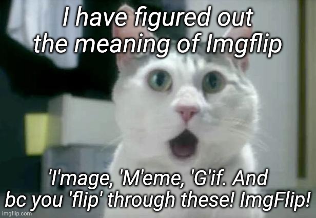 I have solved it | I have figured out the meaning of Imgflip; 'I'mage, 'M'eme, 'G'if. And bc you 'flip' through these! ImgFlip! | image tagged in memes,omg cat | made w/ Imgflip meme maker
