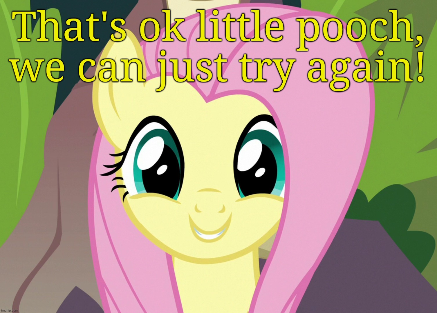 Shyabetes 2 (MLP) | That's ok little pooch, we can just try again! | image tagged in shyabetes 2 mlp | made w/ Imgflip meme maker