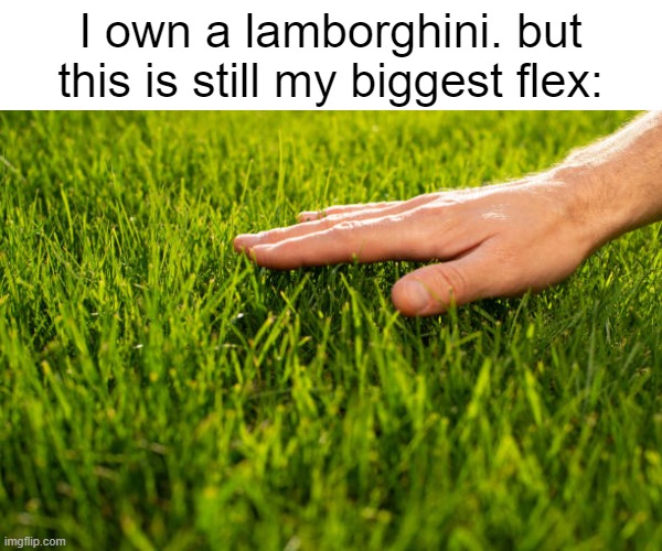 major flex | I own a lamborghini. but this is still my biggest flex: | image tagged in flex,touch grass,funny,haha,funny haha | made w/ Imgflip meme maker
