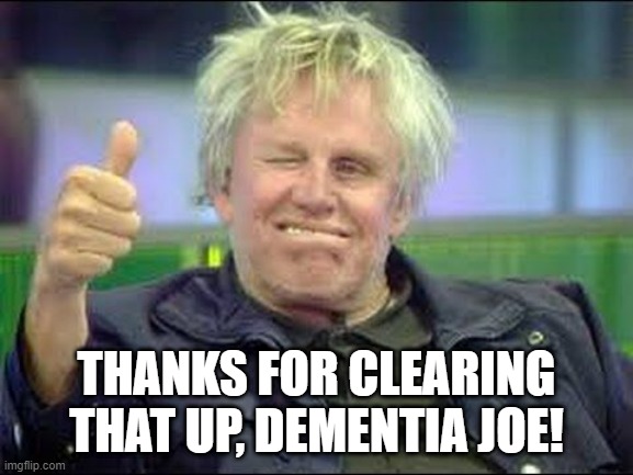 Gary Busey approves | THANKS FOR CLEARING THAT UP, DEMENTIA JOE! | image tagged in gary busey approves | made w/ Imgflip meme maker