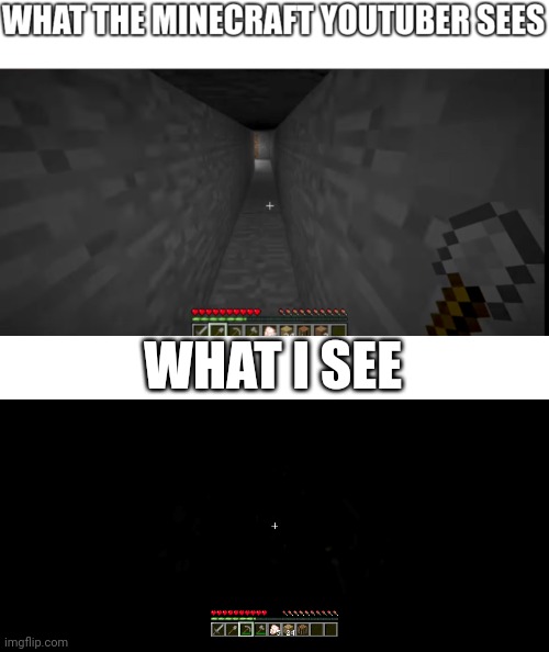 WHAT I SEE | image tagged in minecraft,minecraft memes,mining | made w/ Imgflip meme maker