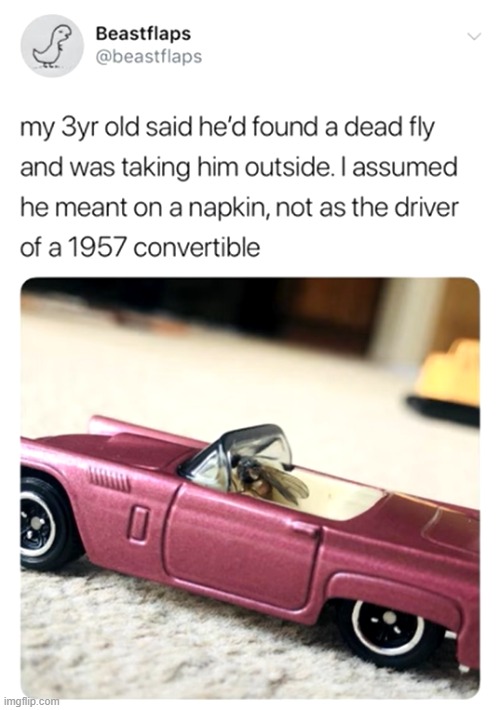 If the fly was alive, he'd probably like this | image tagged in fly,toy,car,drive | made w/ Imgflip meme maker