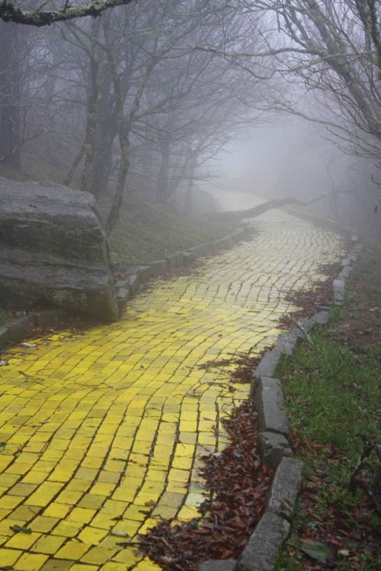 High Quality Follow the Yellow Brick Road to the Abandoned Land of Oz Blank Meme Template