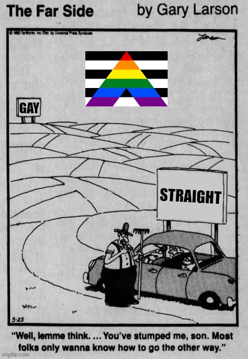 Straight Ally | GAY; STRAIGHT | image tagged in straight ally,the far side mockery,funny memes | made w/ Imgflip meme maker