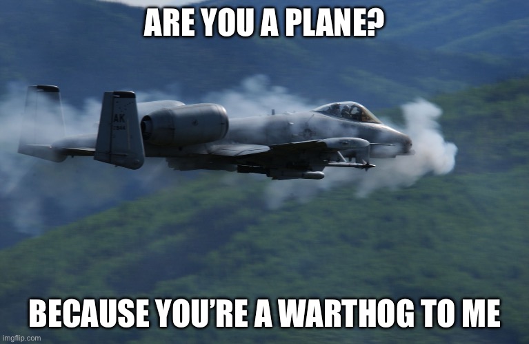 A10 | ARE YOU A PLANE? BECAUSE YOU’RE A WARTHOG TO ME | image tagged in a10,plane,warthog | made w/ Imgflip meme maker