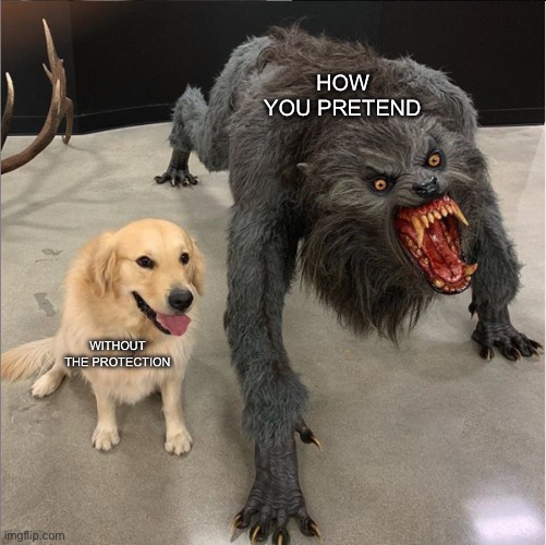dog vs werewolf | HOW YOU PRETEND; WITHOUT THE PROTECTION | image tagged in dog vs werewolf | made w/ Imgflip meme maker