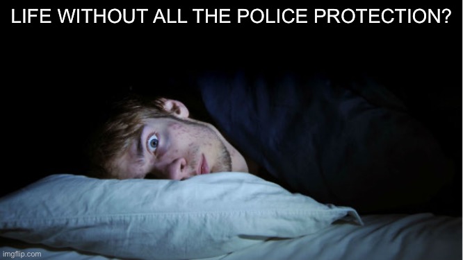 Frightened | LIFE WITHOUT ALL THE POLICE PROTECTION? | image tagged in frightened | made w/ Imgflip meme maker