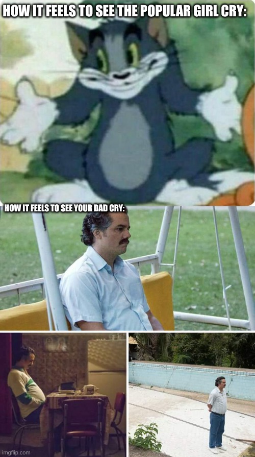 *insert wonder by kanye west* | HOW IT FEELS TO SEE THE POPULAR GIRL CRY:; HOW IT FEELS TO SEE YOUR DAD CRY: | image tagged in tom shrugging,memes,sad pablo escobar | made w/ Imgflip meme maker