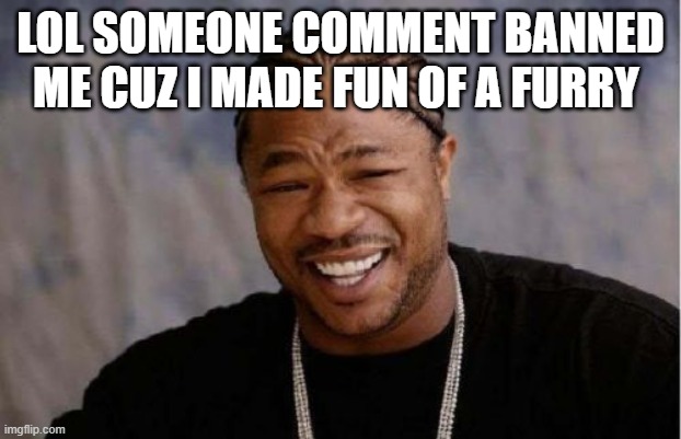 Yo Dawg Heard You | LOL SOMEONE COMMENT BANNED ME CUZ I MADE FUN OF A FURRY | image tagged in memes,yo dawg heard you | made w/ Imgflip meme maker