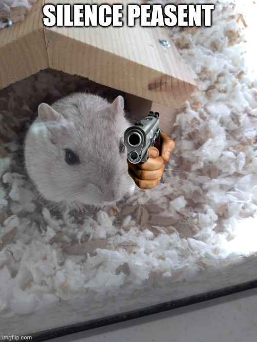 Rip vanilla. | SILENCE PEASENT | image tagged in vanilla the gerbil rip | made w/ Imgflip meme maker