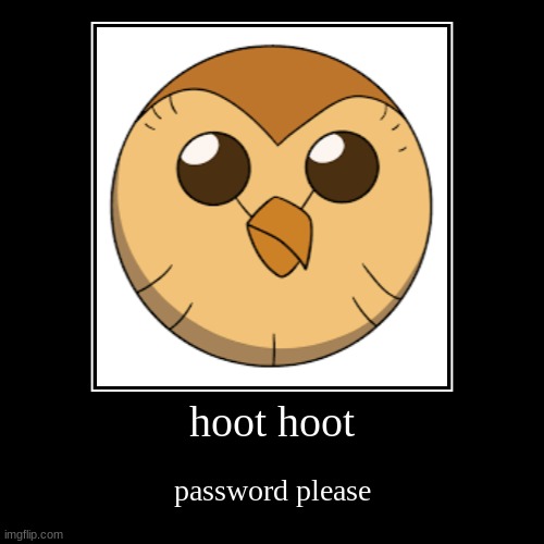 hoot hoot | password please | image tagged in funny,demotivationals | made w/ Imgflip demotivational maker