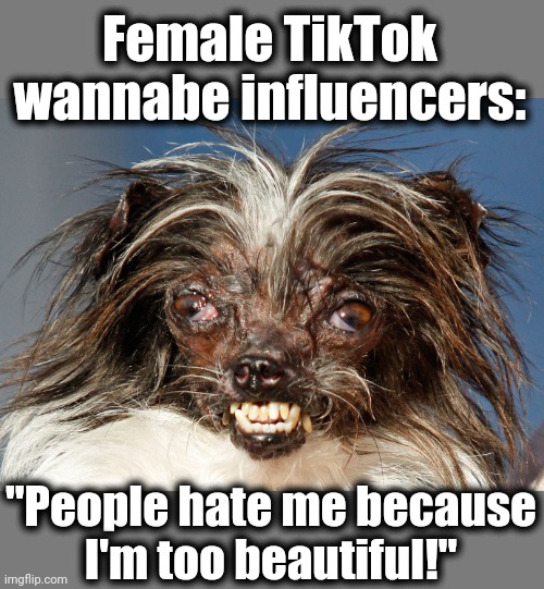 Female TikTok wannabe influencers:; "People hate me because
I'm too beautiful!" | image tagged in memes,tiktok,influencers | made w/ Imgflip meme maker