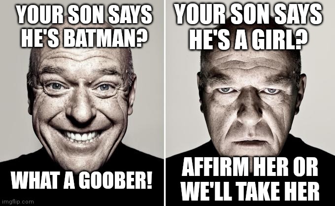 California: | YOUR SON SAYS HE'S A GIRL? YOUR SON SAYS HE'S BATMAN? AFFIRM HER OR WE'LL TAKE HER; WHAT A GOOBER! | image tagged in democrats,woke,transgender,california | made w/ Imgflip meme maker