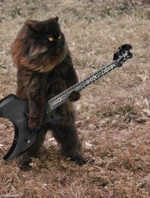 Death Metal kitty! | image tagged in death metal cat | made w/ Imgflip meme maker
