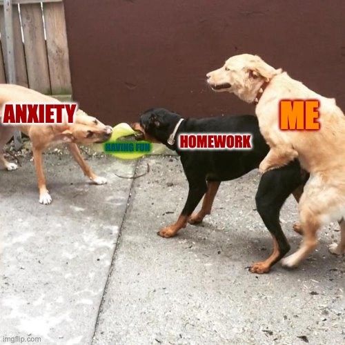 My life in a nutshell | ME; ANXIETY; HOMEWORK; HAVING FUN | image tagged in this is my life,front page plz | made w/ Imgflip meme maker