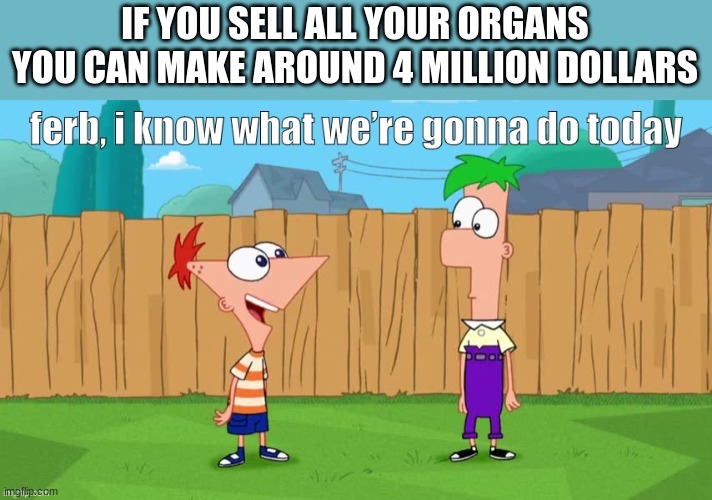 meme 2 | IF YOU SELL ALL YOUR ORGANS YOU CAN MAKE AROUND 4 MILLION DOLLARS | image tagged in ferb i know what we re gonna do today | made w/ Imgflip meme maker