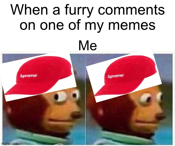 Monkey Puppet Meme | When a furry comments on one of my memes; Me | image tagged in memes,monkey puppet | made w/ Imgflip meme maker