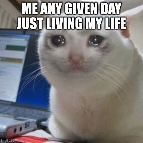 I wanna just die | ME ANY GIVEN DAY JUST LIVING MY LIFE | image tagged in crying cat | made w/ Imgflip meme maker