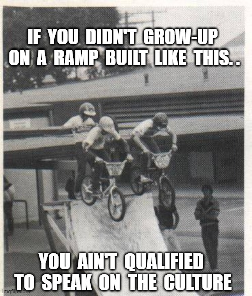 Pioneers in Freestyle William Furmage Tony Ray Davis - Charles Racette | IF  YOU  DIDN'T  GROW-UP  ON  A  RAMP  BUILT  LIKE  THIS. . YOU  AIN'T  QUALIFIED  TO  SPEAK  ON  THE  CULTURE | image tagged in furmage,fiola,vans,bmx,freestyle,furmlife | made w/ Imgflip meme maker