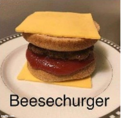 Beesechurger | image tagged in beesechurger | made w/ Imgflip meme maker