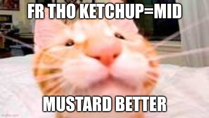 english improves as my relastionships fall | FR THO KETCHUP=MID; MUSTARD BETTER | image tagged in my dog is extra crunchy and has diarrhea | made w/ Imgflip meme maker