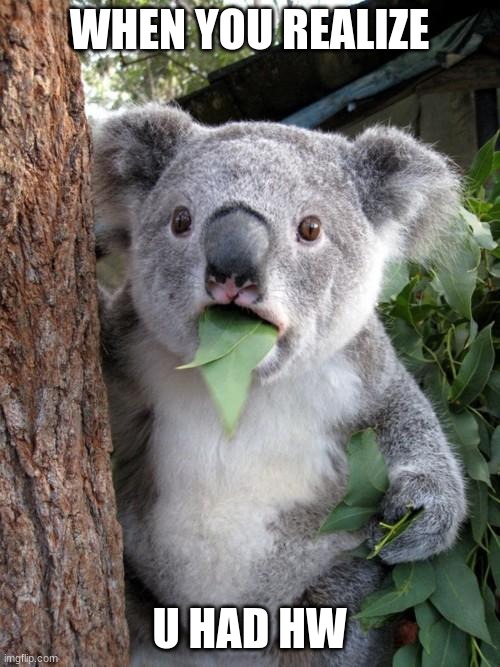 Surprised Koala Meme | WHEN YOU REALIZE U HAD HW | image tagged in memes,surprised koala | made w/ Imgflip meme maker