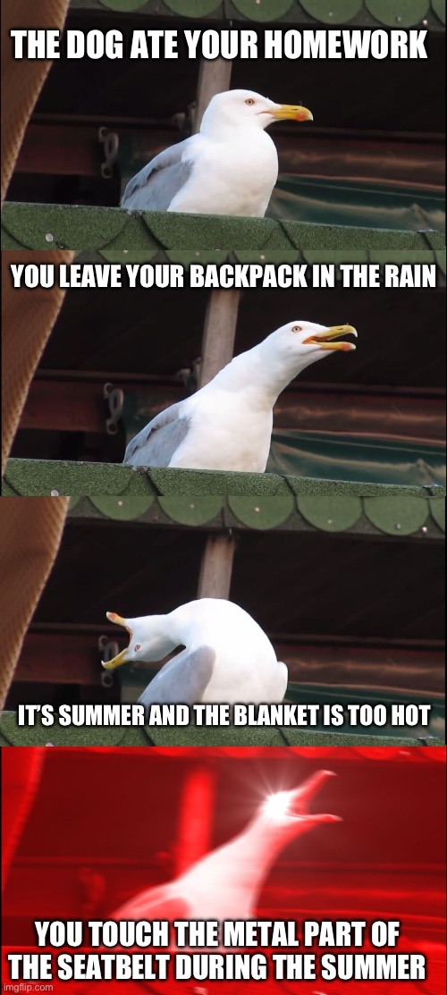 Inhaling Seagull Meme | THE DOG ATE YOUR HOMEWORK; YOU LEAVE YOUR BACKPACK IN THE RAIN; IT’S SUMMER AND THE BLANKET IS TOO HOT; YOU TOUCH THE METAL PART OF THE SEATBELT DURING THE SUMMER | image tagged in memes,inhaling seagull | made w/ Imgflip meme maker