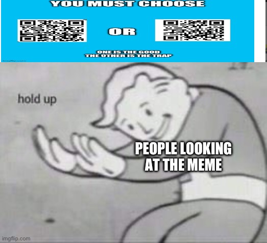 Fallout Hold Up | PEOPLE LOOKING AT THE MEME | image tagged in fallout hold up | made w/ Imgflip meme maker