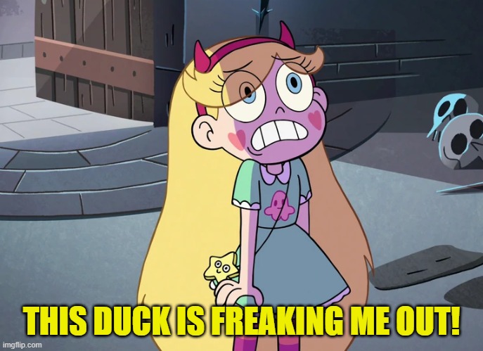 Star Butterfly freaked out | THIS DUCK IS FREAKING ME OUT! | image tagged in star butterfly freaked out | made w/ Imgflip meme maker