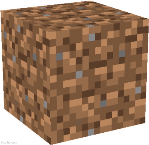 Minecraft dirt block | image tagged in minecraft dirt block | made w/ Imgflip meme maker