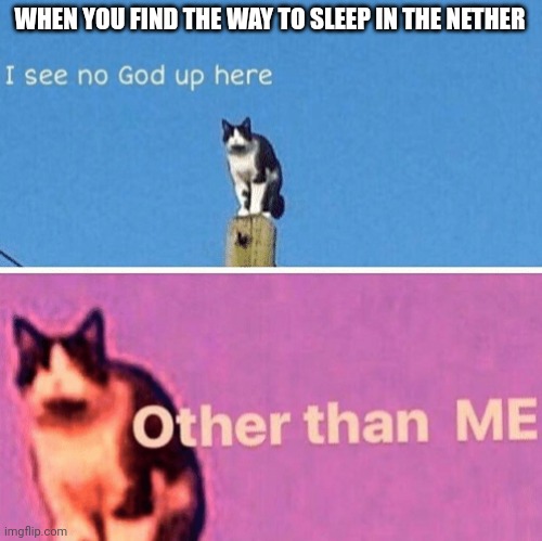 Nether sleepover | WHEN YOU FIND THE WAY TO SLEEP IN THE NETHER | image tagged in hail pole cat | made w/ Imgflip meme maker