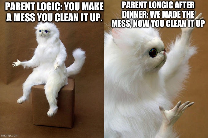 It’s true though! | PARENT LONGIC AFTER DINNER: WE MADE THE MESS, NOW YOU CLEAN IT UP; PARENT LOGIC: YOU MAKE A MESS YOU CLEAN IT UP. | image tagged in memes,persian cat room guardian | made w/ Imgflip meme maker