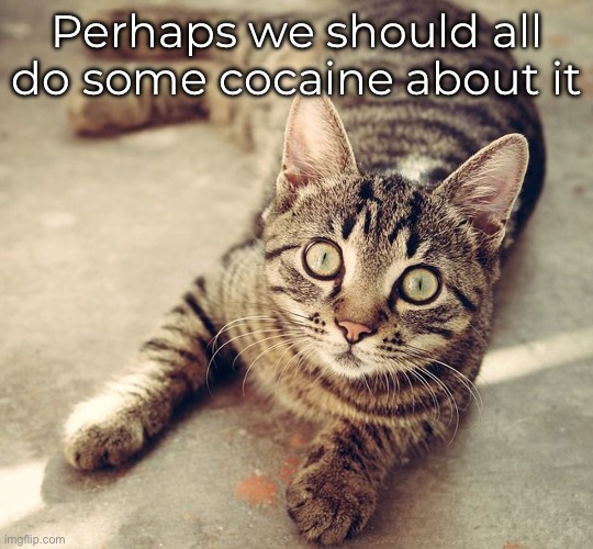 Perhaps we should all do some cocaine about it | made w/ Imgflip meme maker