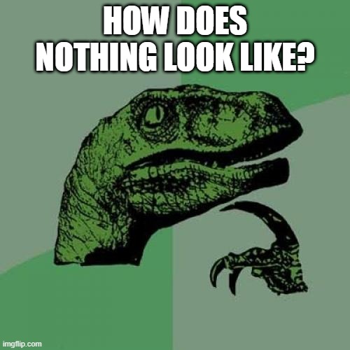 Philosoraptor Meme | HOW DOES NOTHING LOOK LIKE? | image tagged in memes,philosoraptor | made w/ Imgflip meme maker