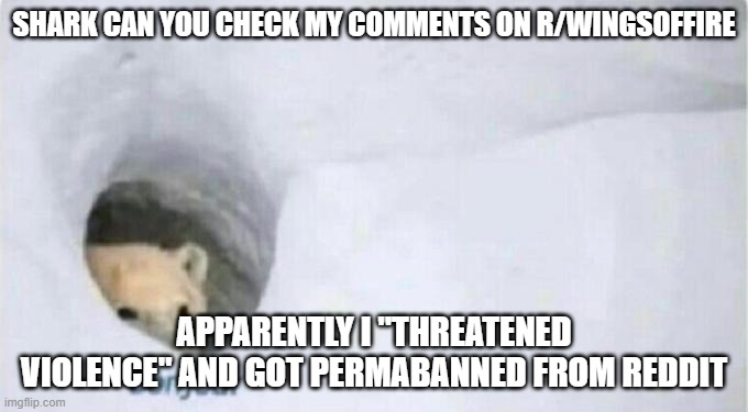 Shark pls help | SHARK CAN YOU CHECK MY COMMENTS ON R/WINGSOFFIRE; APPARENTLY I "THREATENED VIOLENCE" AND GOT PERMABANNED FROM REDDIT | image tagged in bonjour bear | made w/ Imgflip meme maker