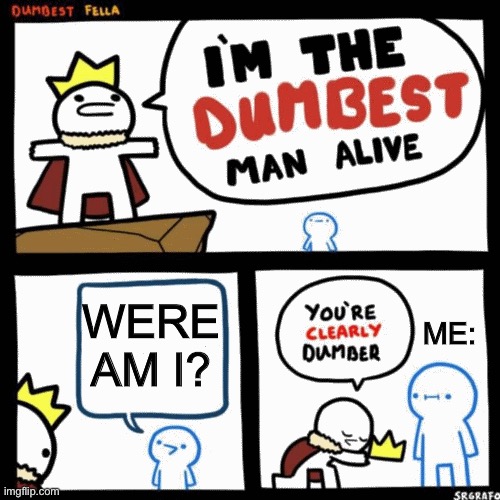 I'm the dumbest man alive | WERE AM I? ME: | image tagged in i'm the dumbest man alive | made w/ Imgflip meme maker