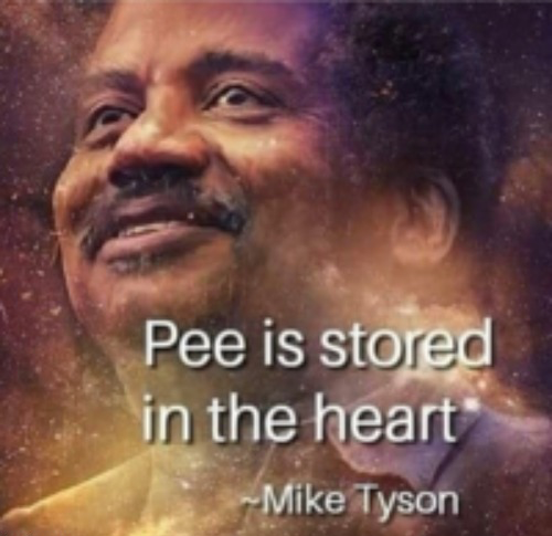 Wise Blank Meme Template
