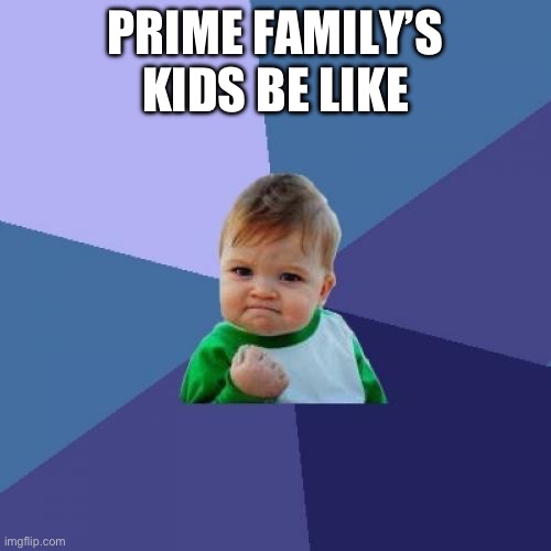 PRIME | PRIME FAMILY’S KIDS BE LIKE | image tagged in memes,success kid | made w/ Imgflip meme maker