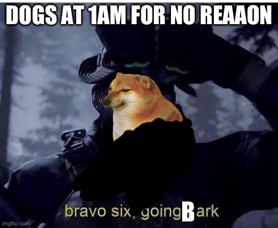 Dogs at 1am | DOGS AT 1AM FOR NO REAAON; B | image tagged in bravo six going dark,dogs,call of duty,funny,dank memes,funny memes | made w/ Imgflip meme maker