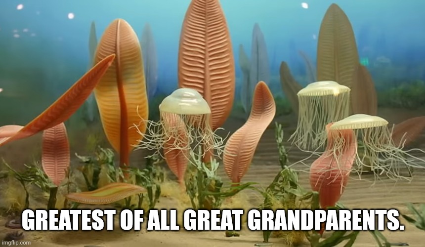 These are the oldest animals apparently | GREATEST OF ALL GREAT GRANDPARENTS. | made w/ Imgflip meme maker