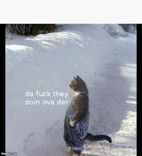 What are they doing over there | image tagged in what are they doing over there | made w/ Imgflip meme maker